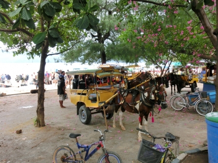 gilit (21)